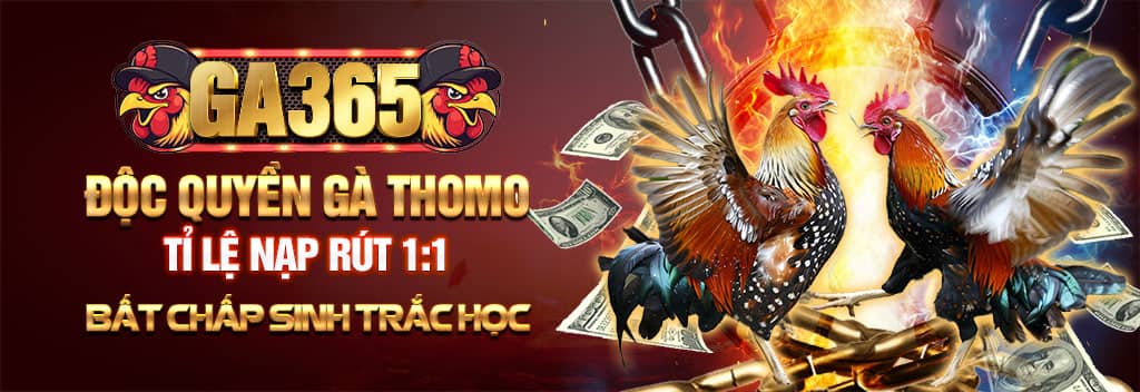 Độc Quyền Đá Gà Thomo Tại GA365